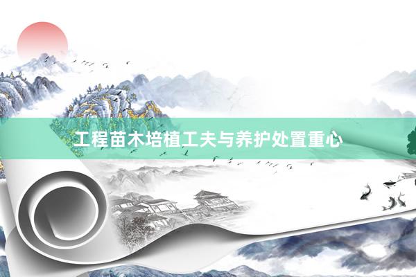 工程苗木培植工夫与养护处置重心